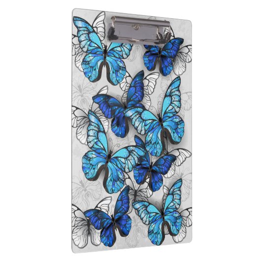 Zusammensetzung von White und Blue Butterflies Klemmbrett (Rechts)