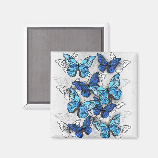 Zusammensetzung von White und Blue Butterflies Magnet (Vorderseite/Rückseite)