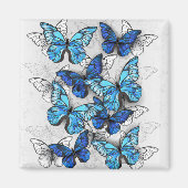 Zusammensetzung von White und Blue Butterflies Magnet (Vorne)
