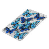 Zusammensetzung von White und Blue Butterflies Magnet (Linke Seite)
