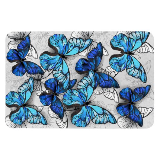 Zusammensetzung von White und Blue Butterflies Magnet (Horizontal)