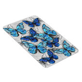 Zusammensetzung von White und Blue Butterflies Magnet (Rechte Seite)
