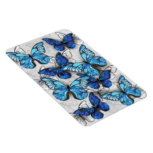 Zusammensetzung von White und Blue Butterflies Magnet (Rechte Seite)