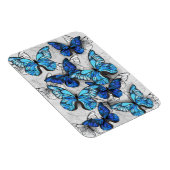 Zusammensetzung von White und Blue Butterflies Magnet (Rechte Seite)