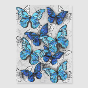 Zusammensetzung von White und Blue Butterflies Magneteinladung