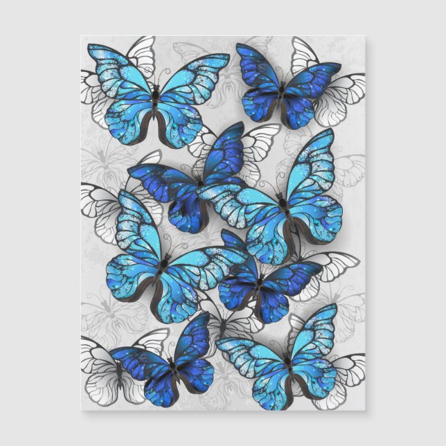Zusammensetzung von White und Blue Butterflies Magnetkarte (Vorderseite)