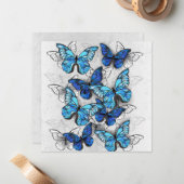 Zusammensetzung von White und Blue Butterflies Mitteilungskarte (Vorderseite/Rückseite Beispiel)