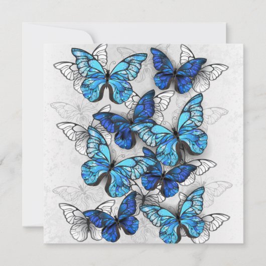 Zusammensetzung von White und Blue Butterflies Mitteilungskarte (Vorderseite)