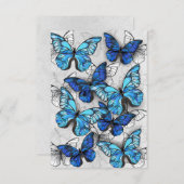 Zusammensetzung von White und Blue Butterflies Mitteilungskarte (Vorne/Hinten)