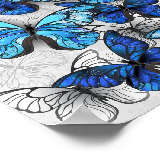 Zusammensetzung von White und Blue Butterflies Poster (Ecke)