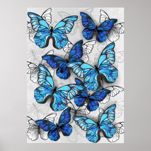 Zusammensetzung von White und Blue Butterflies Poster (Vorne)