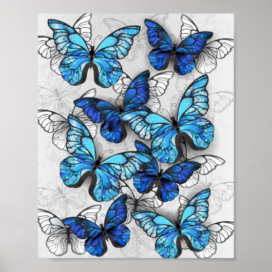 Zusammensetzung von White und Blue Butterflies Poster (Vorne)