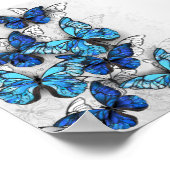 Zusammensetzung von White und Blue Butterflies Poster (Ecke)