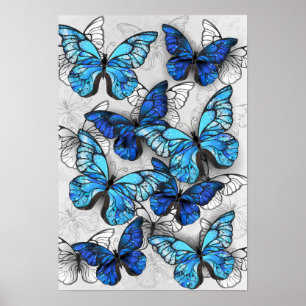 Zusammensetzung von White und Blue Butterflies Poster