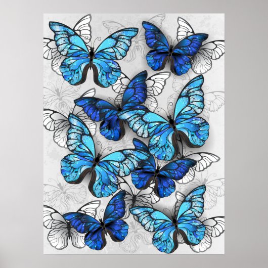 Zusammensetzung von White und Blue Butterflies Poster (Vorne)
