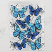 Zusammensetzung von White und Blue Butterflies Programm (Vorne/Hinten)