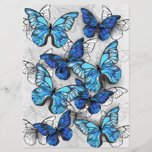 Zusammensetzung von White und Blue Butterflies Programm (Vorderseite)