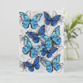 Zusammensetzung von White und Blue Butterflies Programm (Stehend Vorderseite)