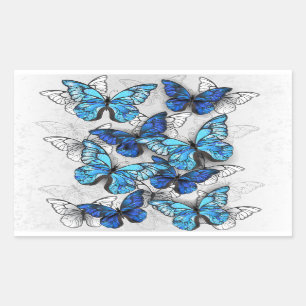 Zusammensetzung von White und Blue Butterflies Rechteckiger Aufkleber