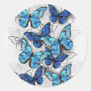 Zusammensetzung von White und Blue Butterflies Runder Aufkleber