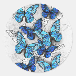 Zusammensetzung von White und Blue Butterflies Runder Aufkleber