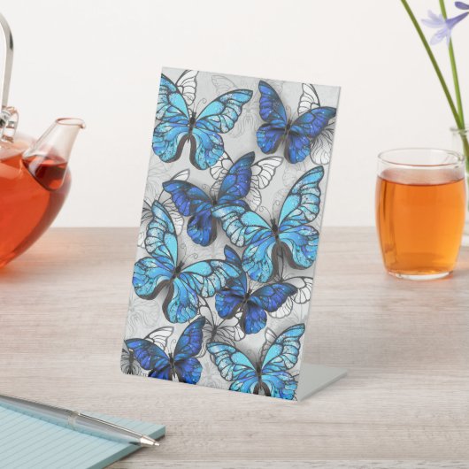 Zusammensetzung von White und Blue Butterflies Sockelschild (In SItu)