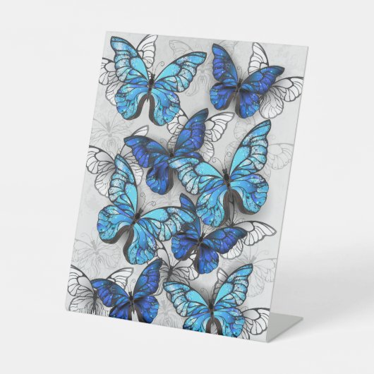 Zusammensetzung von White und Blue Butterflies Sockelschild (Vorderseite)