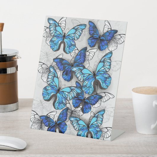 Zusammensetzung von White und Blue Butterflies Sockelschild (In SItu)