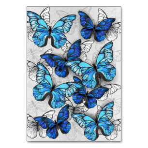 Zusammensetzung von White und Blue Butterflies Tischnummer
