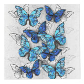 Zusammensetzung von White und Blue Butterflies Würfel (Rechts)