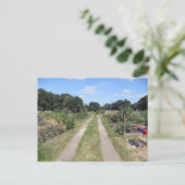 Zuteilung im Land Postkarte (Stehend Vorderseite)