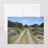 Zuteilung im Land Postkarte (Vorne/Hinten)