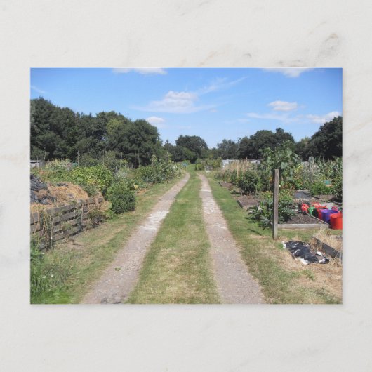 Zuteilung im Land Postkarte (Vorderseite)