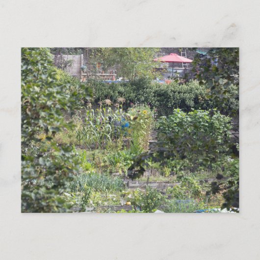 Zuteilungen an der Hebdenbrücke Postkarte (Vorderseite)