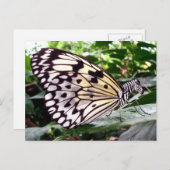 Zutterfly-Postkarte Postkarte (Vorne/Hinten)