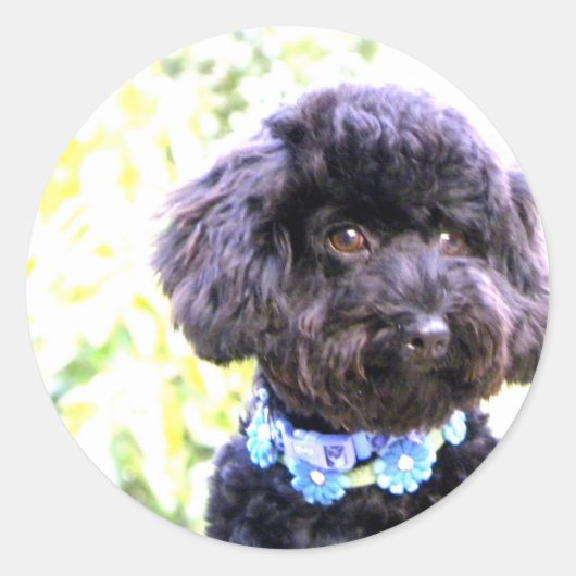 Zuverlässiger liebevoller Freund Runder Aufkleber (Vorderseite)