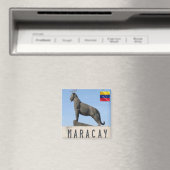 zVE004 MARACAY, Jaguar, Venezuela, Amerika, Kühlsc Magnet (In Situ (Geschirrspüler))