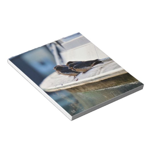 Zwaluw vogeltjes die op een lijn zitten in de have notizblock (angewinkelt)