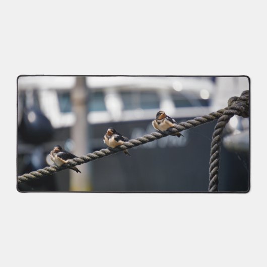 Zwaluw vogeltjes die op een lijn zitten in de have schreibtischunterlage (Vorderseite)