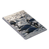 Zwanen in een groep op het water met glinsterend z notizblock (Rechte Seite)