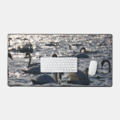 Zwanen in een groep op het water met glinsterend z schreibtischunterlage (Tastatur & Maus)