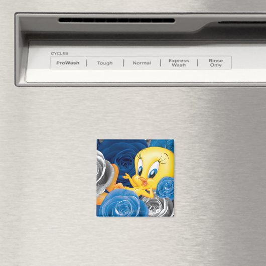 Zwanzig mit Rose Magnet (In Situ (Geschirrspüler))