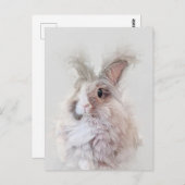Zwarf Angora Rabbit Wildlife Portrait Postkarte (Vorne/Hinten)