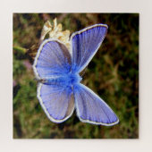 Zwarf Blue Butterfly Puzzle (Horizontal)