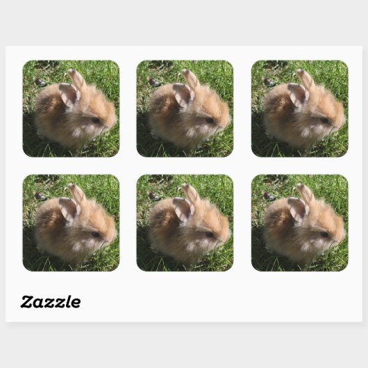 Zwarf Bunny Stickers (Blatt)