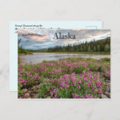 Zwarf Fireweed entlang des Biberkreuzes Fluss Alas Postkarte (Vorne/Hinten)