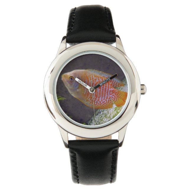 Zwarf Gourami Fish Armbanduhr (Vorderseite)