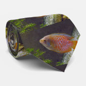 Zwarf Gourami Fish Krawatte (Gerollt)