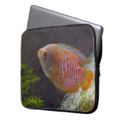 Zwarf Gourami Fish Laptopschutzhülle (Vorderseite Links)