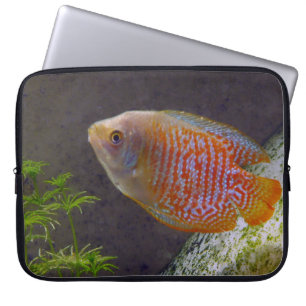Zwarf Gourami Fish Laptopschutzhülle
